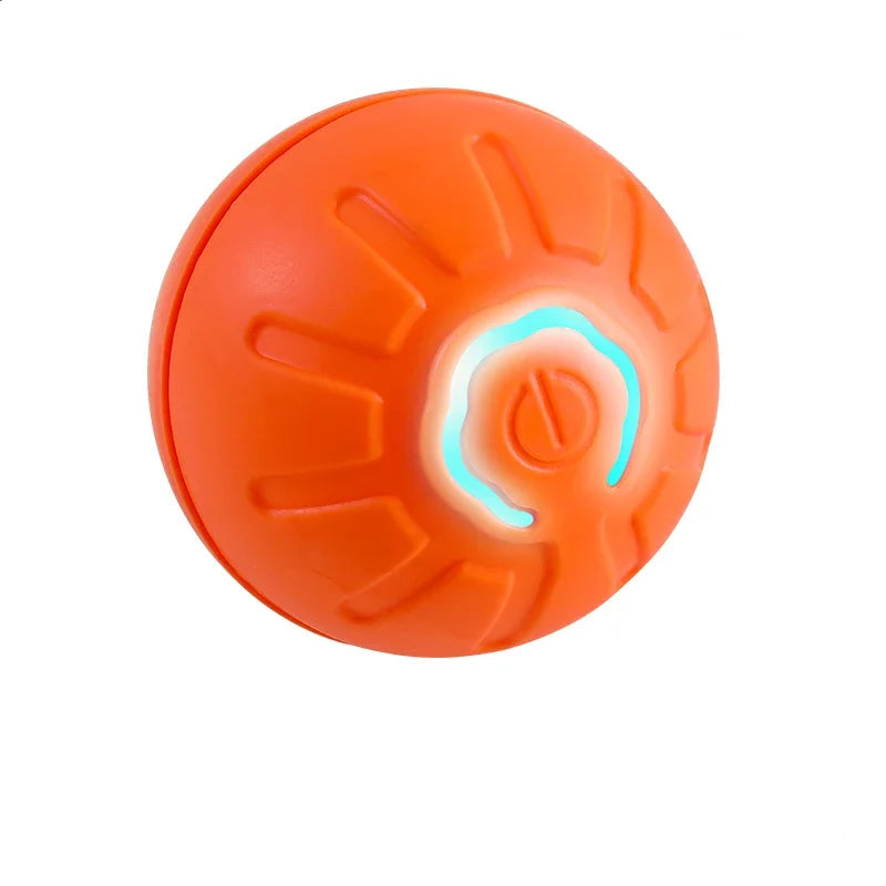 Interactive Pet Toy