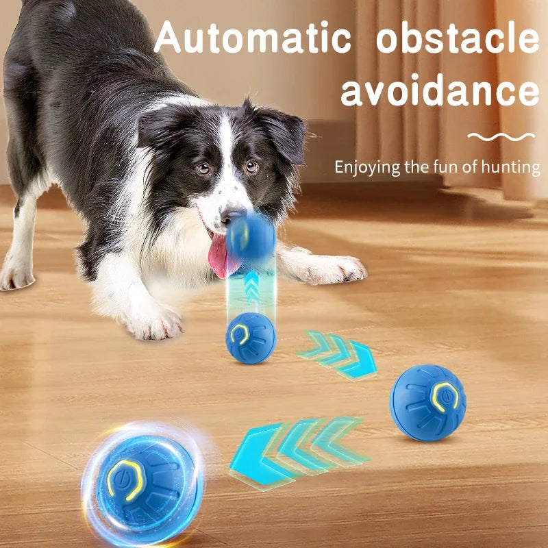 Interactive Pet Toy
