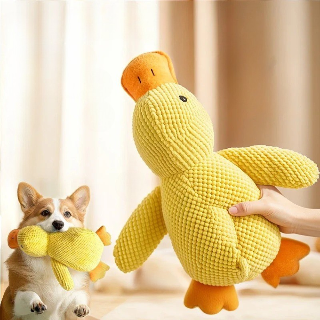 Plush Duck Dog Toy