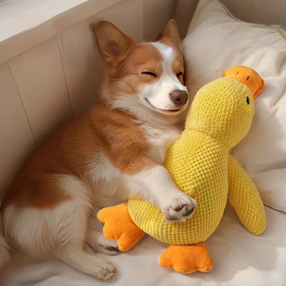 Plush Duck Dog Toy