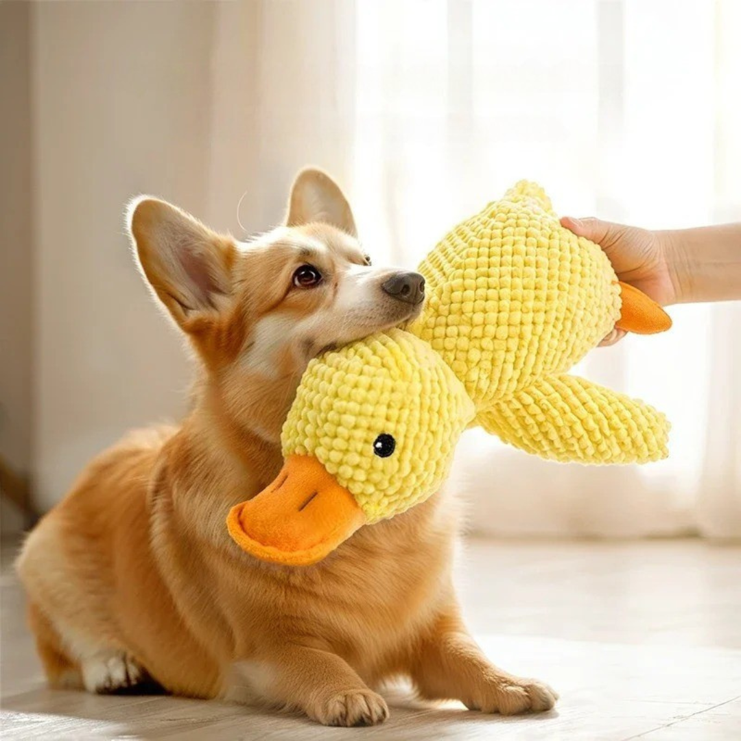 Plush Duck Dog Toy
