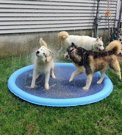 Dog Pool Splash Pad