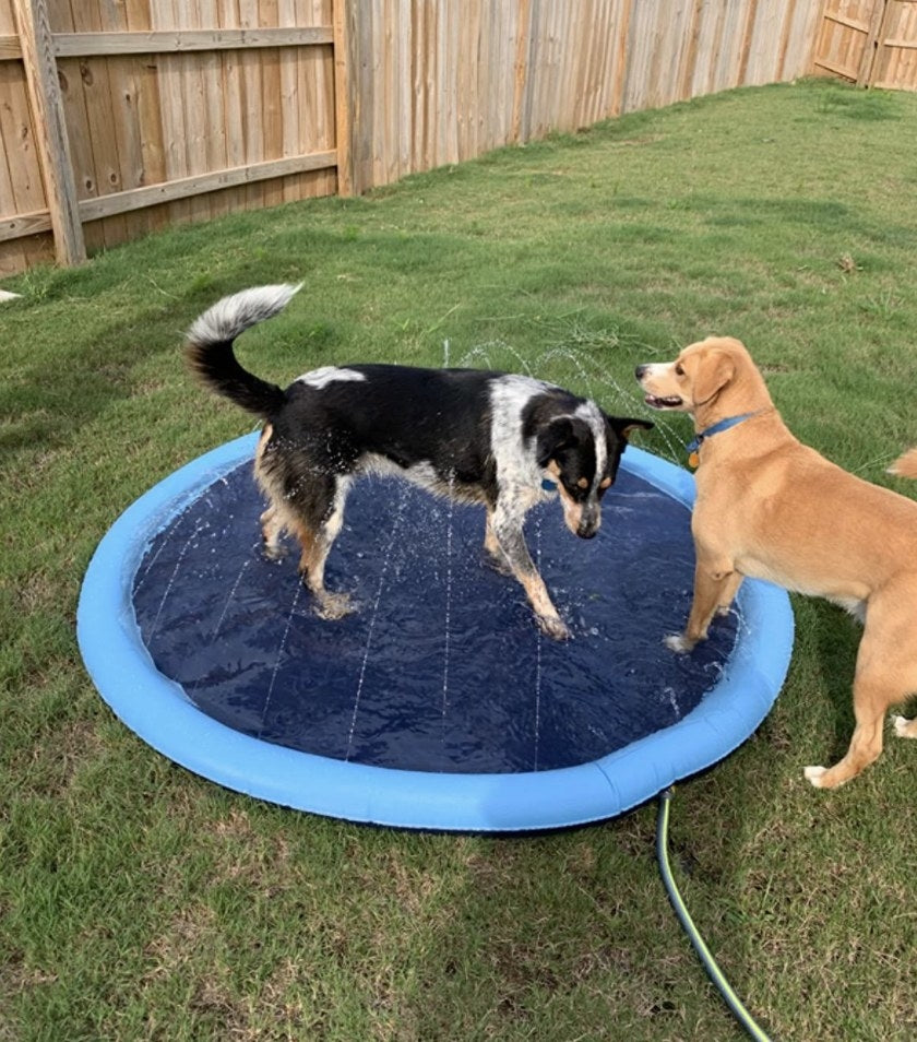 Dog Pool Splash Pad