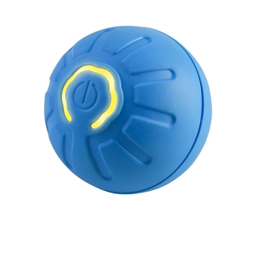 Interactive Pet Toy