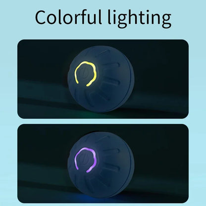 Interactive Pet Toy