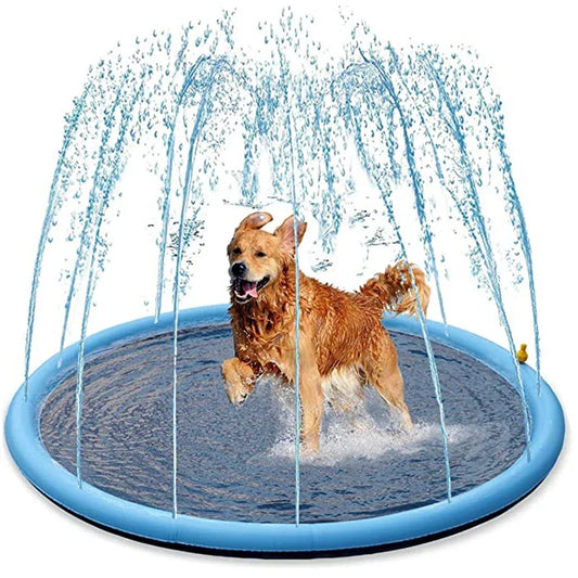 Dog Pool Splash Pad