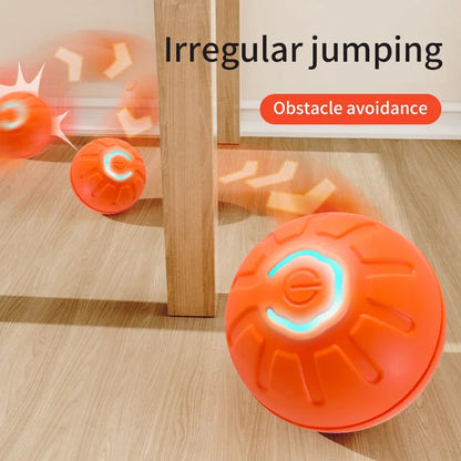Interactive Pet Toy